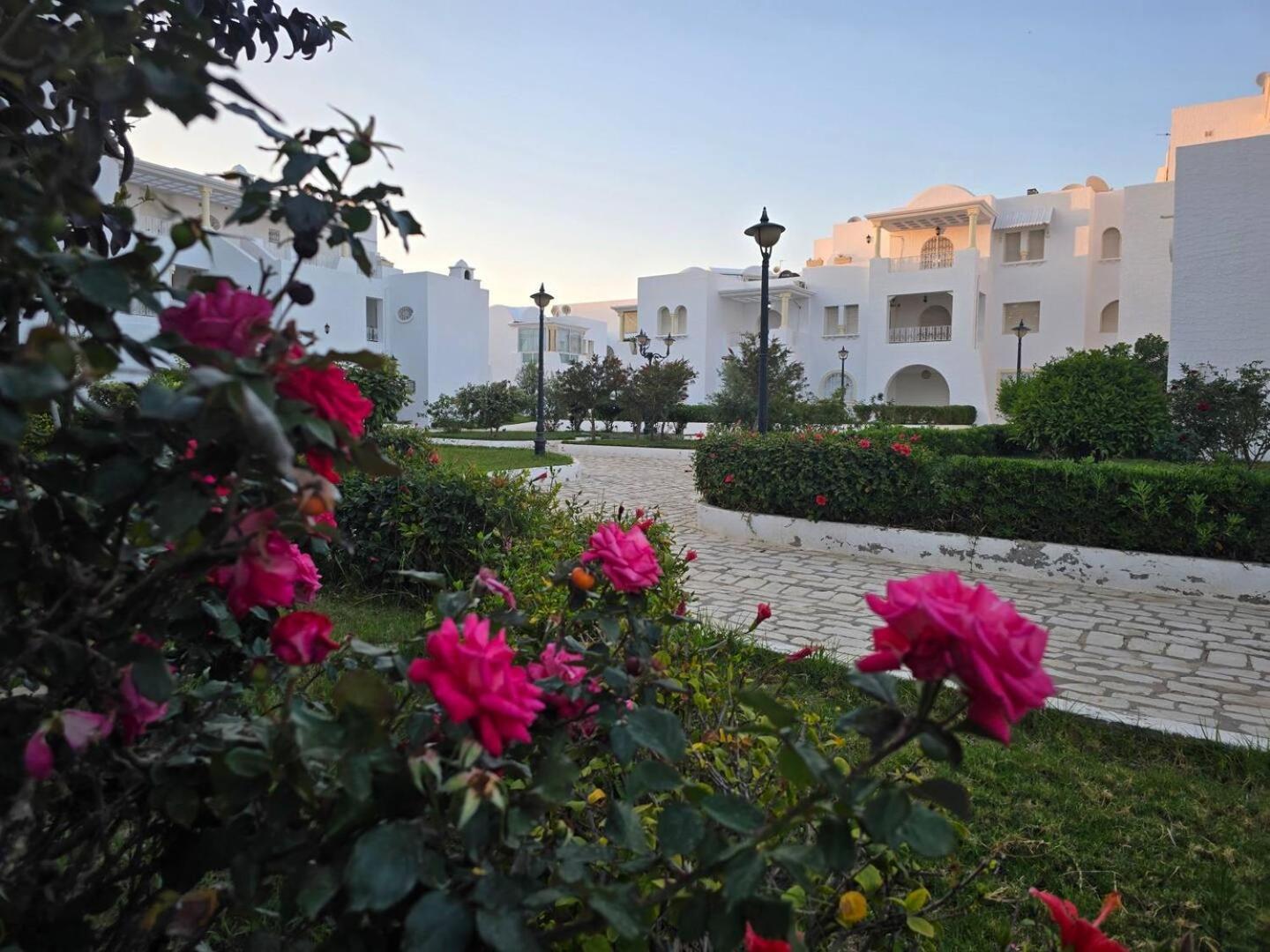 Nesrine-hammemet Sud 4* Hammamet
