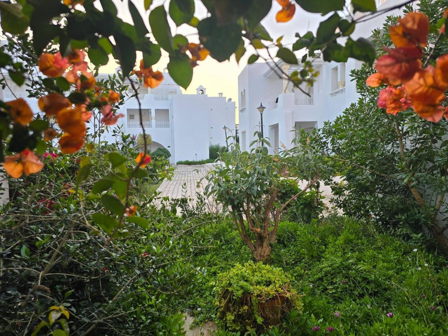 Hotel Nesrine-hammemet Sud 4*